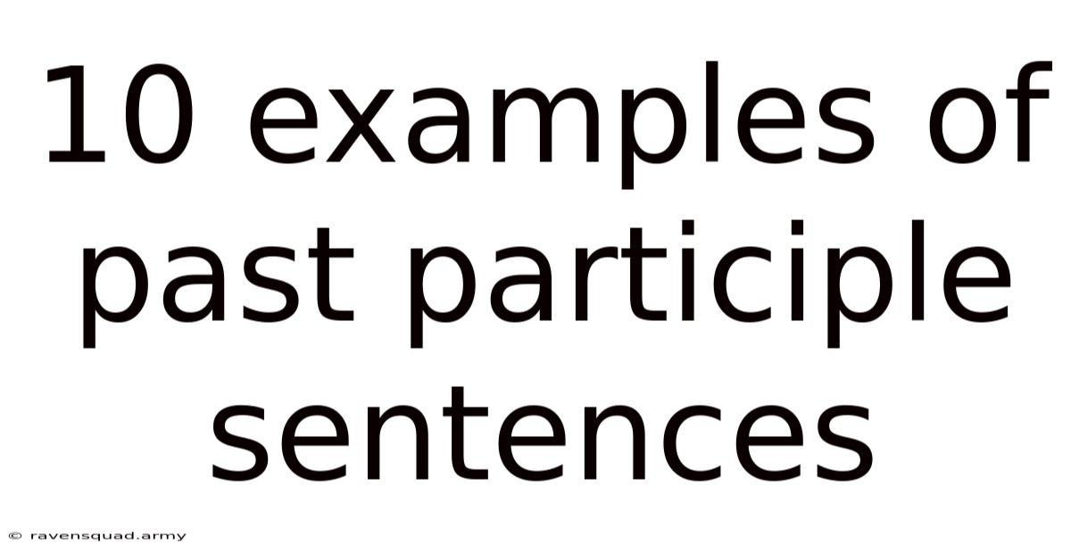 10 Examples Of Past Participle Sentences
