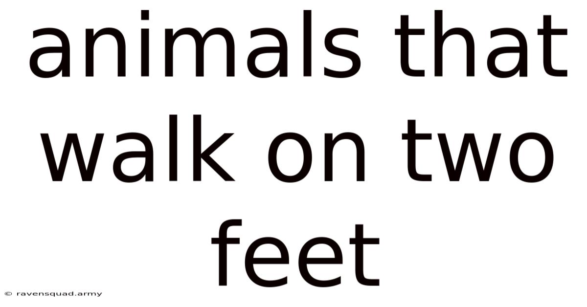 Animals That Walk On Two Feet