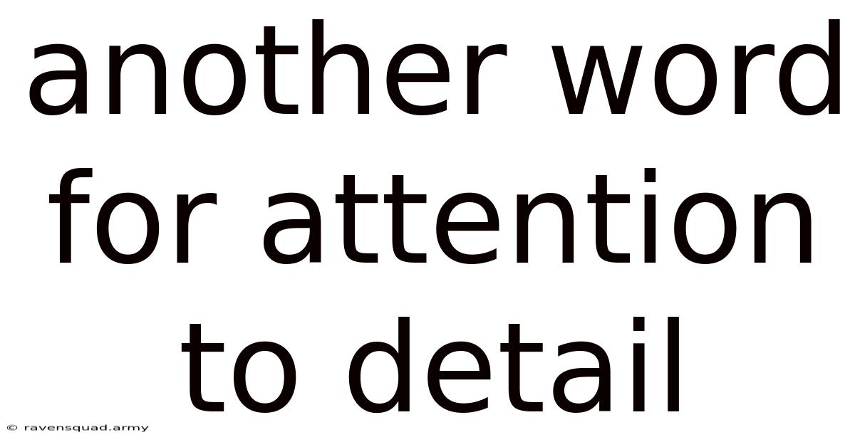 Another Word For Attention To Detail