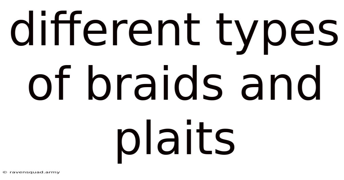 Different Types Of Braids And Plaits