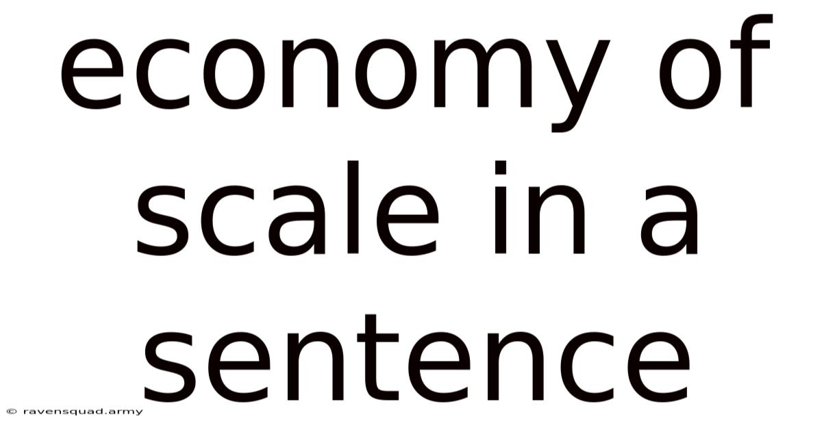 Economy Of Scale In A Sentence