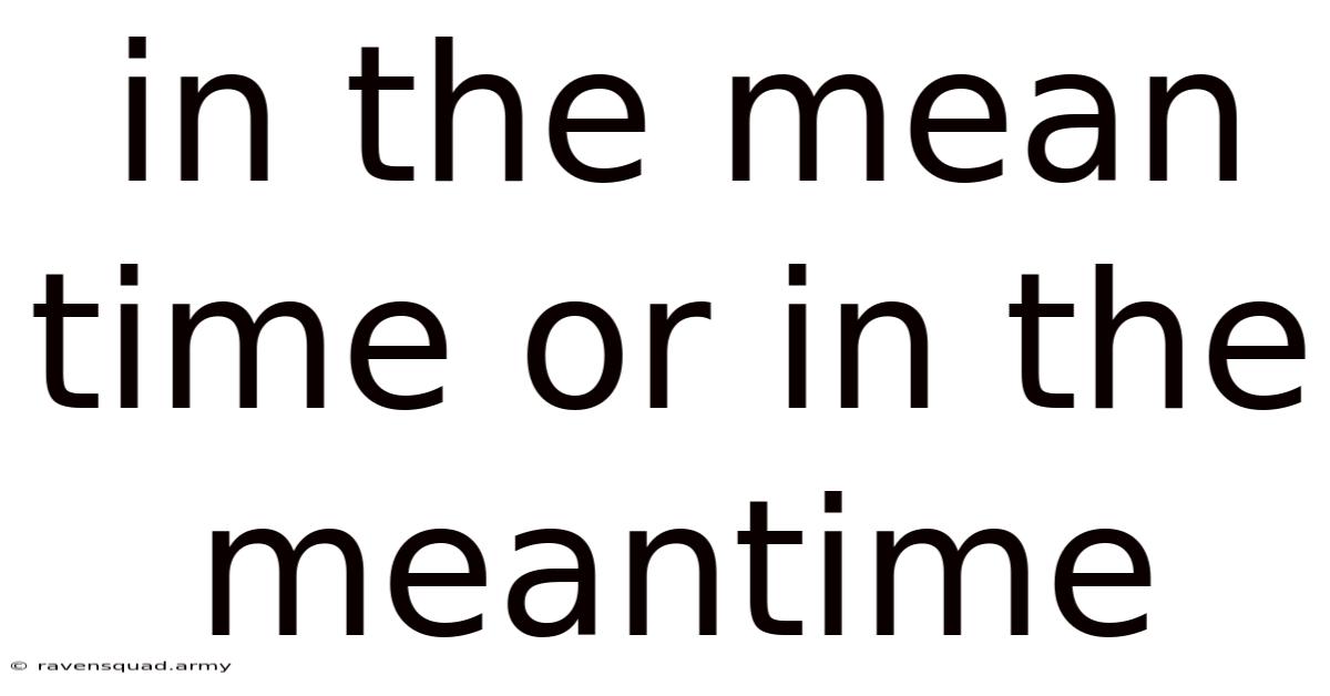 In The Mean Time Or In The Meantime