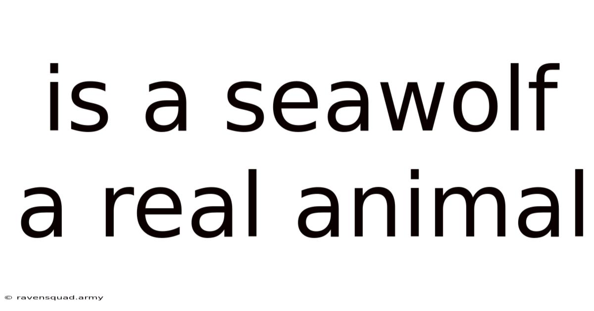 Is A Seawolf A Real Animal