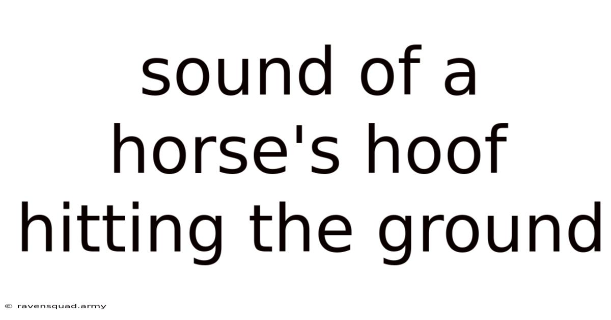 Sound Of A Horse's Hoof Hitting The Ground