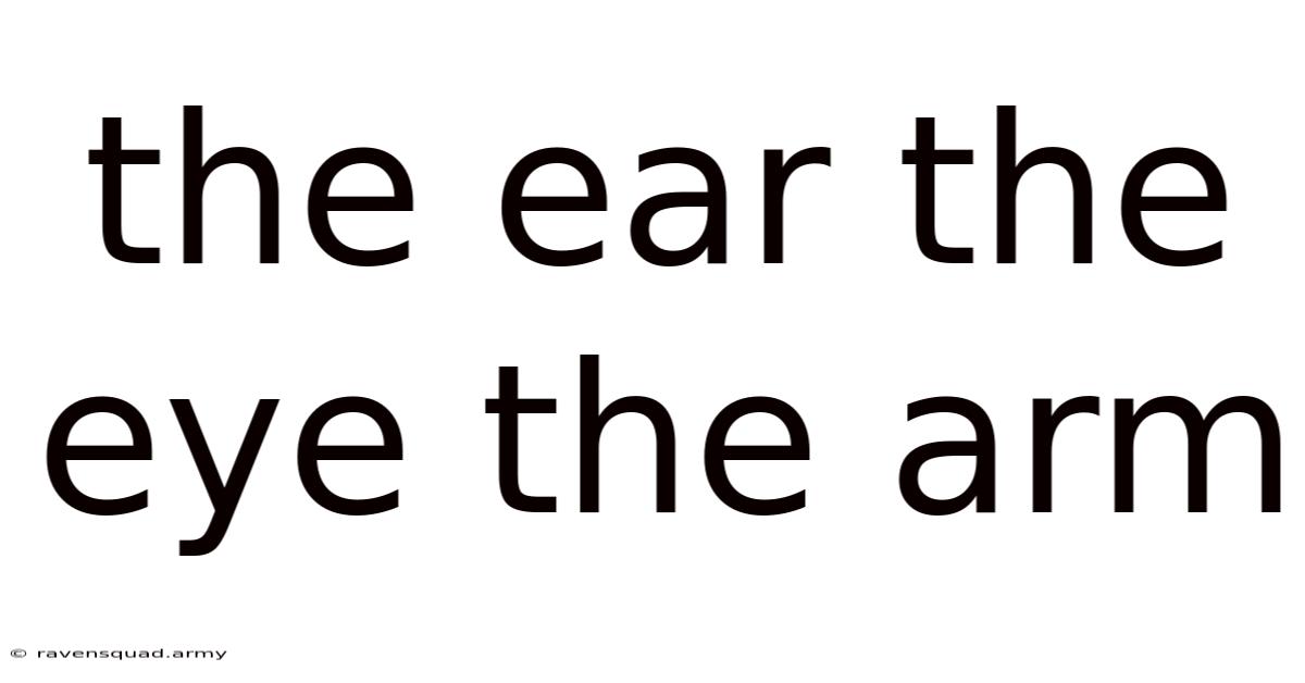 The Ear The Eye The Arm