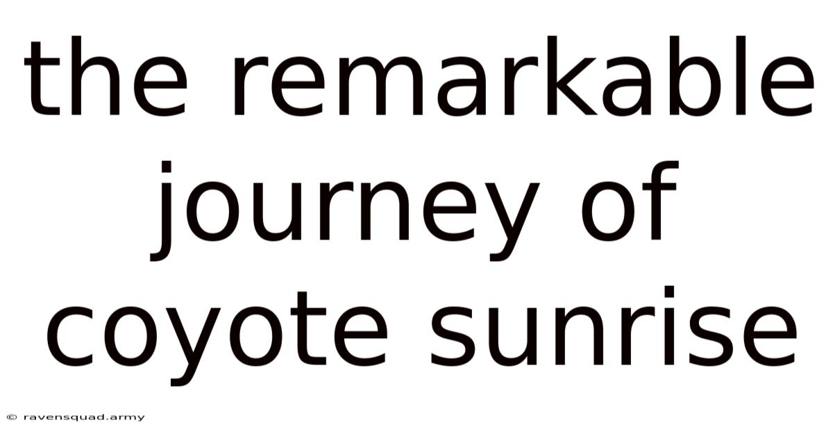 The Remarkable Journey Of Coyote Sunrise