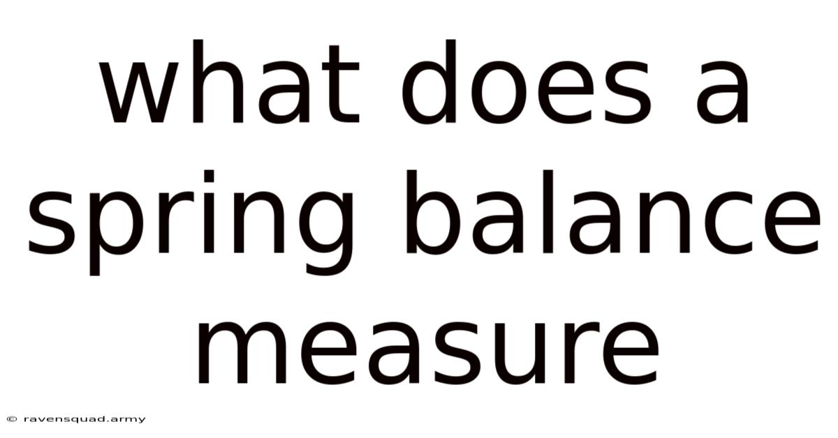 What Does A Spring Balance Measure