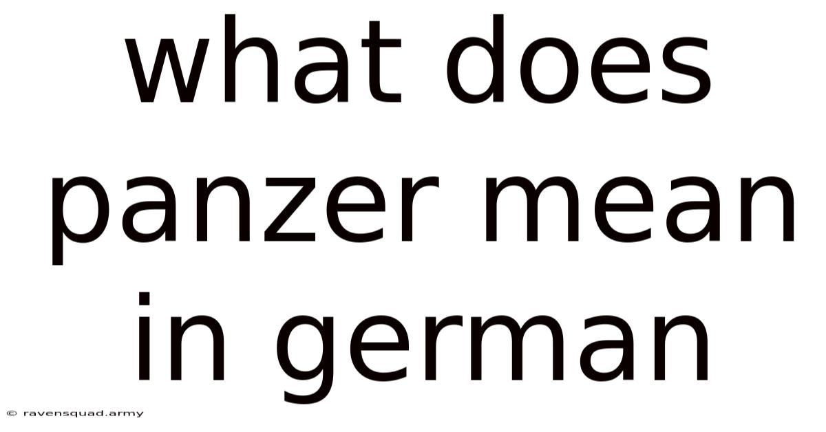 What Does Panzer Mean In German