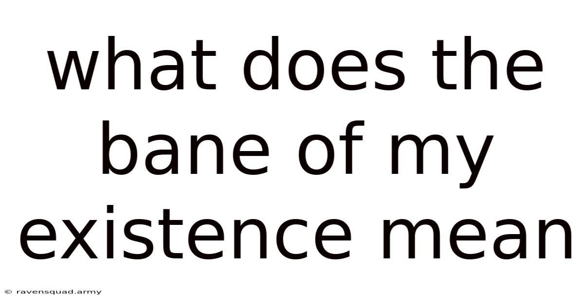 What Does The Bane Of My Existence Mean