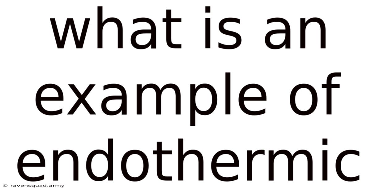 What Is An Example Of Endothermic