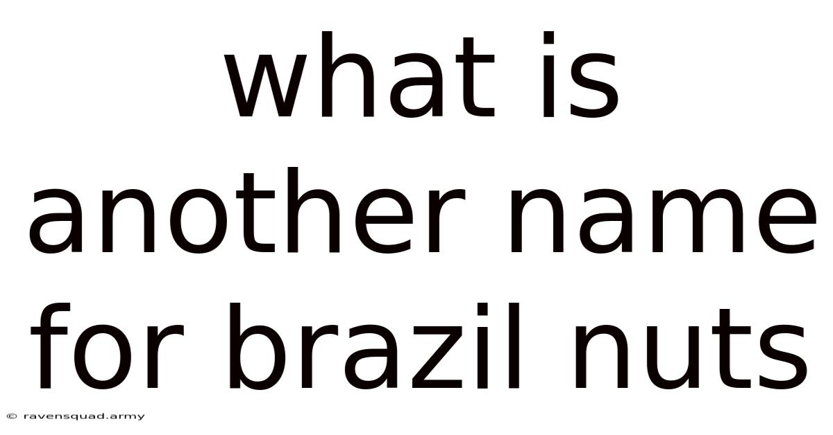 What Is Another Name For Brazil Nuts