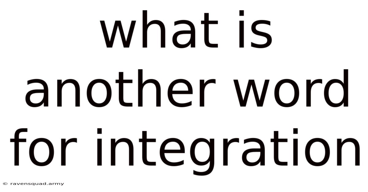 What Is Another Word For Integration