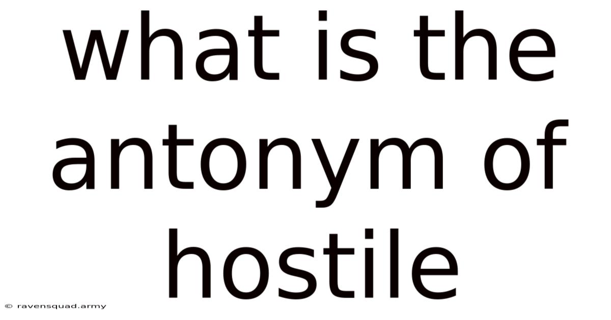 What Is The Antonym Of Hostile