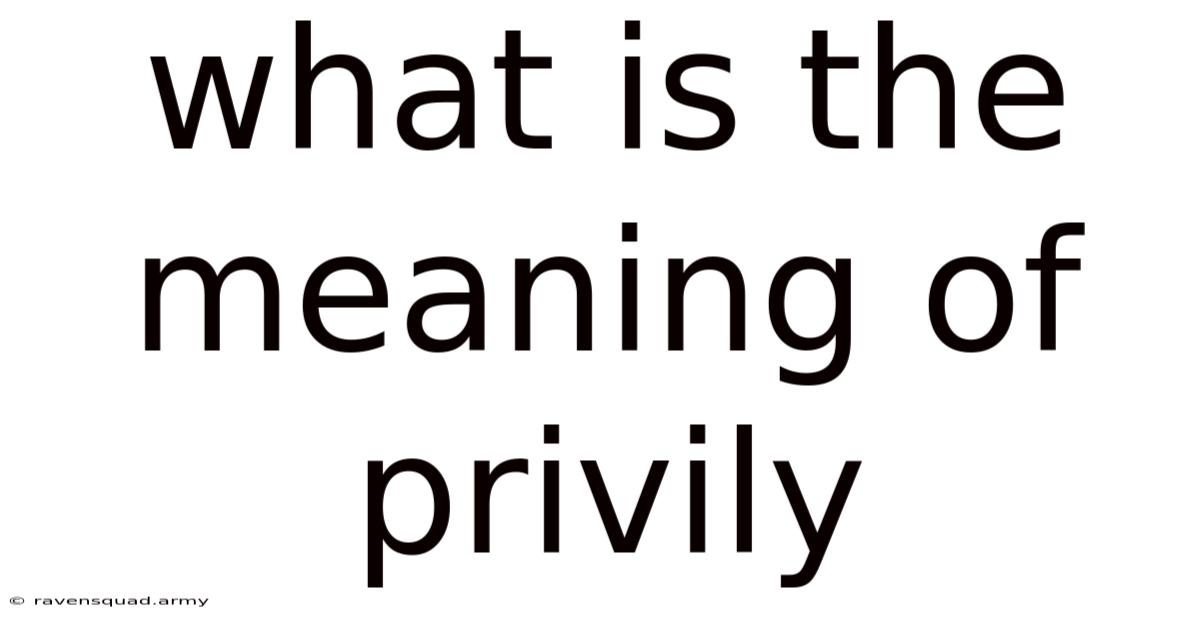 What Is The Meaning Of Privily