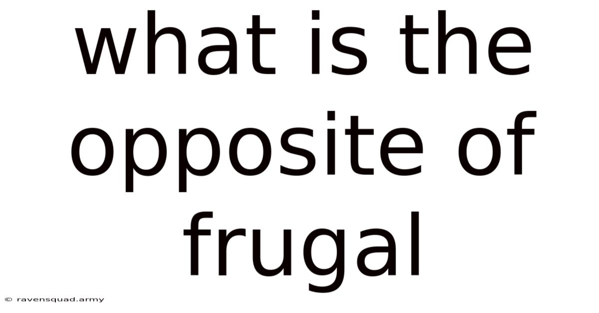 What Is The Opposite Of Frugal