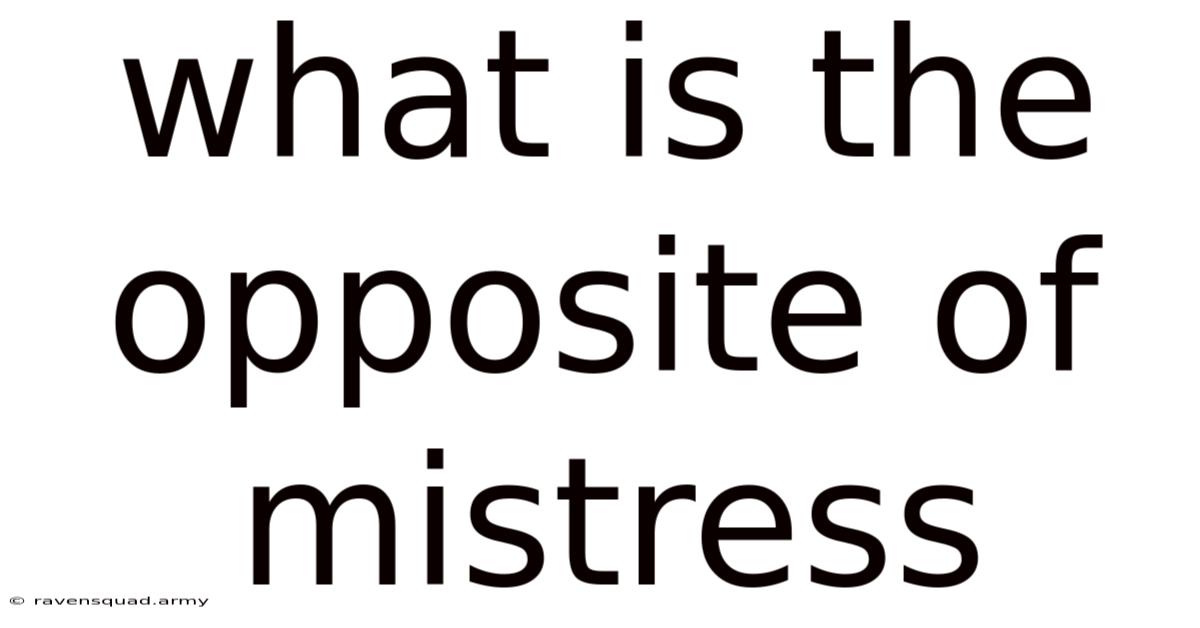 What Is The Opposite Of Mistress