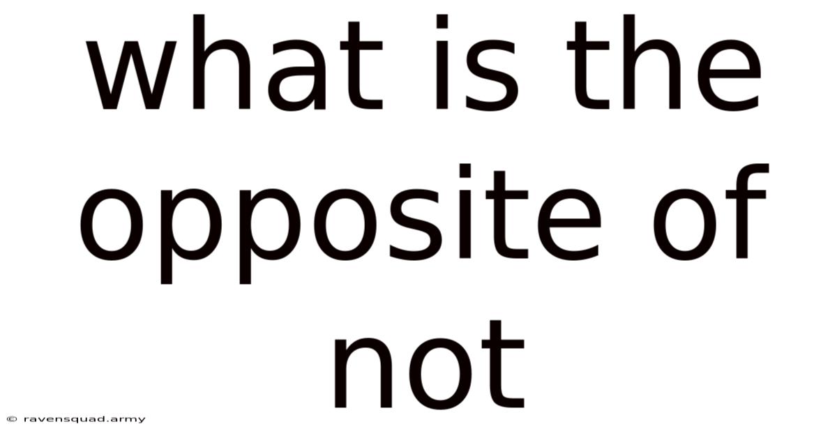 What Is The Opposite Of Not