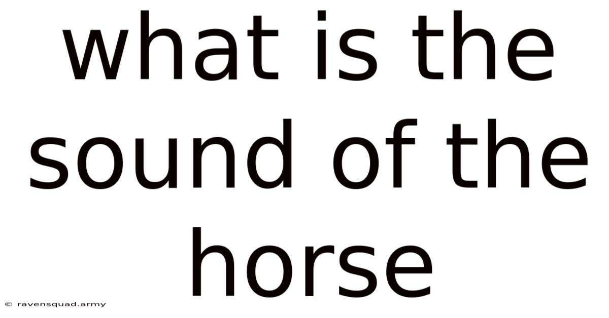 What Is The Sound Of The Horse