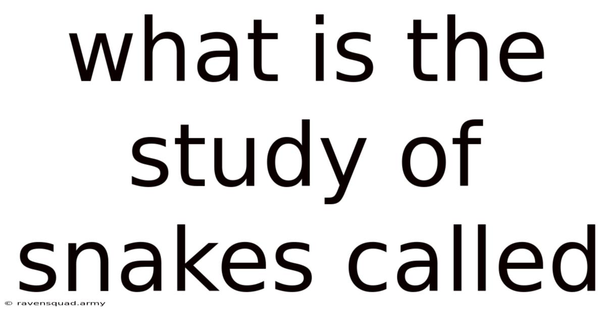 What Is The Study Of Snakes Called