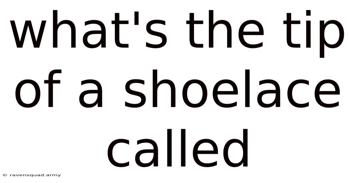 What's The Tip Of A Shoelace Called