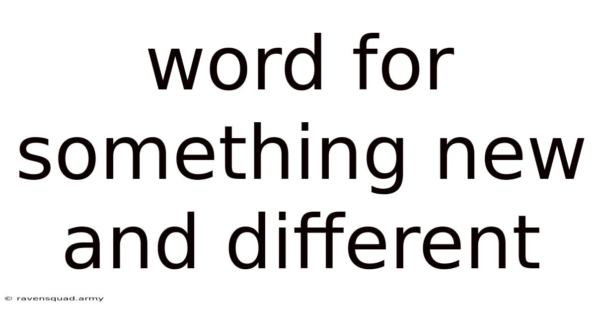 Word For Something New And Different