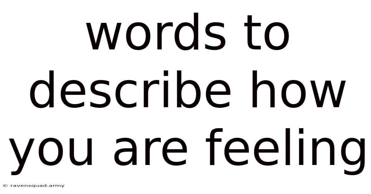 Words To Describe How You Are Feeling